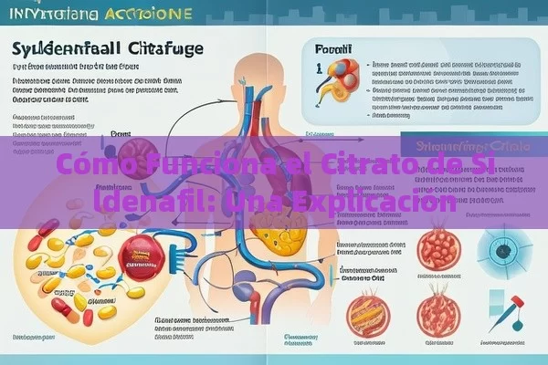 Cómo Funciona el Citrato de Sildenafil: Una Explicación - Viagra:Efectos y Comparativas