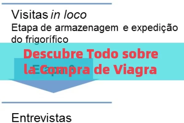 Descubre Todo sobre la Compra de Viagra en Amazon: Seguridad, Legalidad y Alternativas